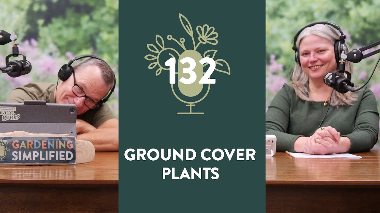 Covering Ground - All About Ground Cover Plants | 132