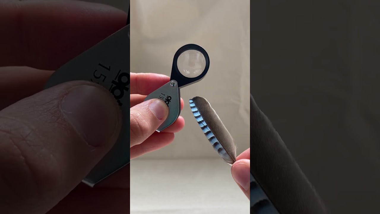 Product Focus Loupe Magnifier 15x23