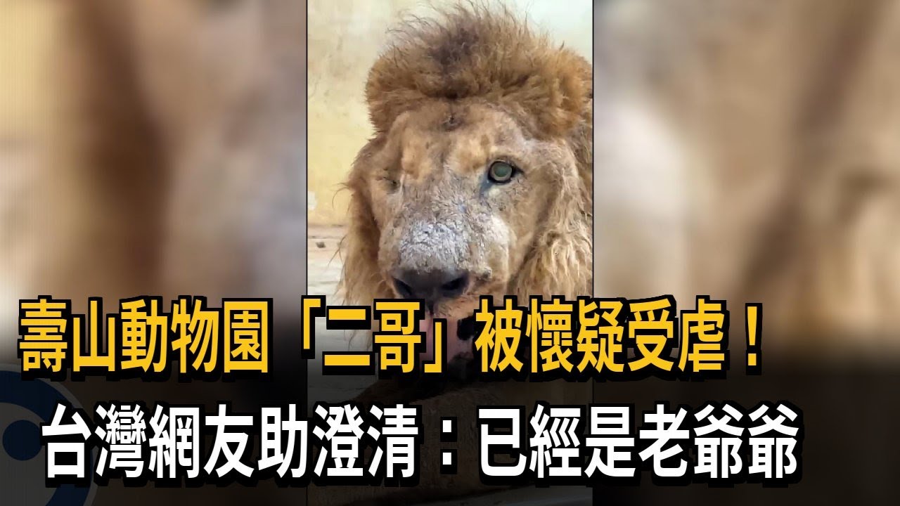 壽山動物園「二哥」被懷疑受虐！　台灣網友助澄清：已經是老爺爺－民視新聞