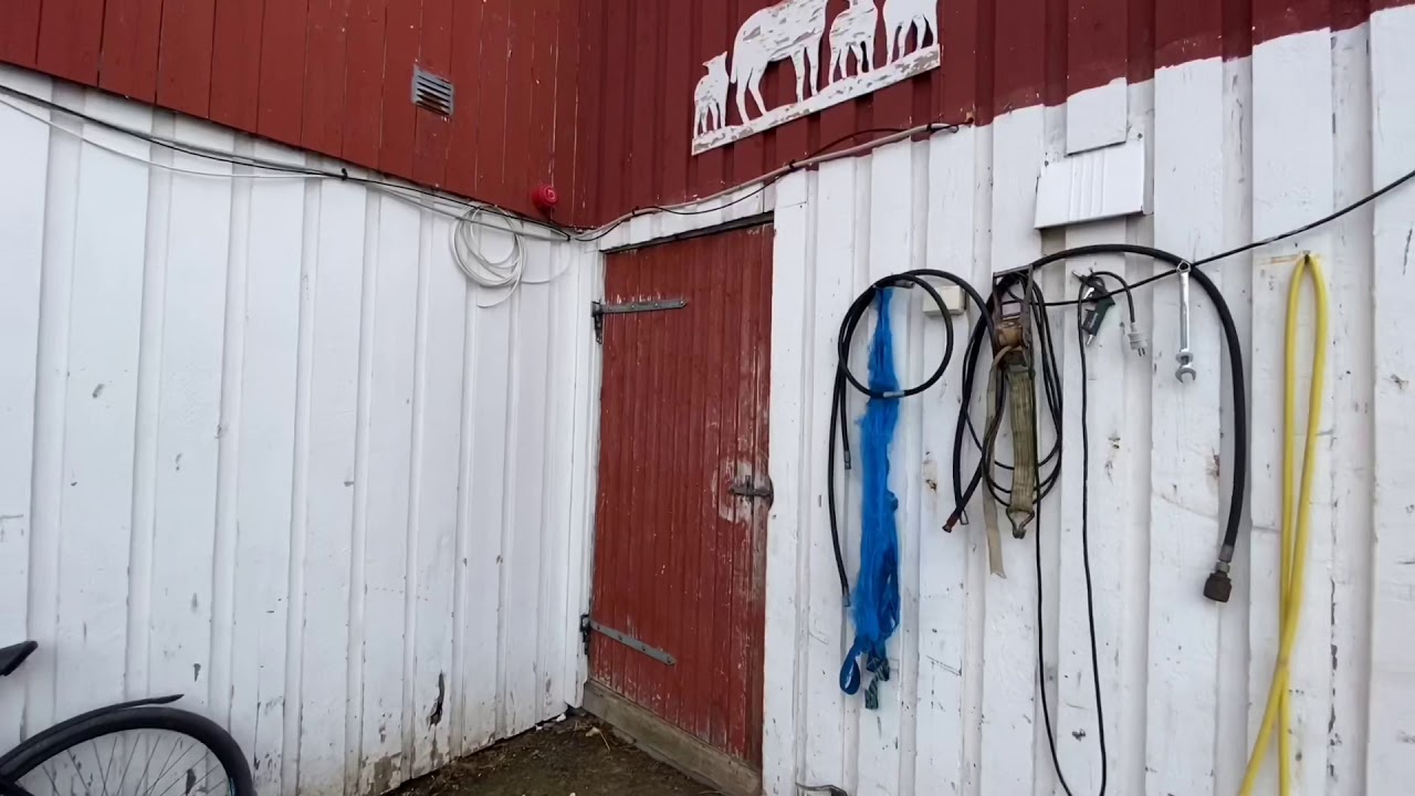En titt i sauefj&oslash;set under lamming