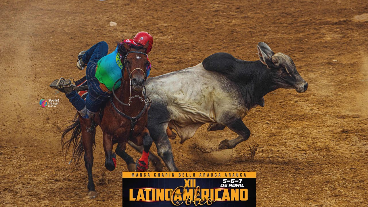 LATINOAMERICANO DE COLEO 2024 los mejores momentos