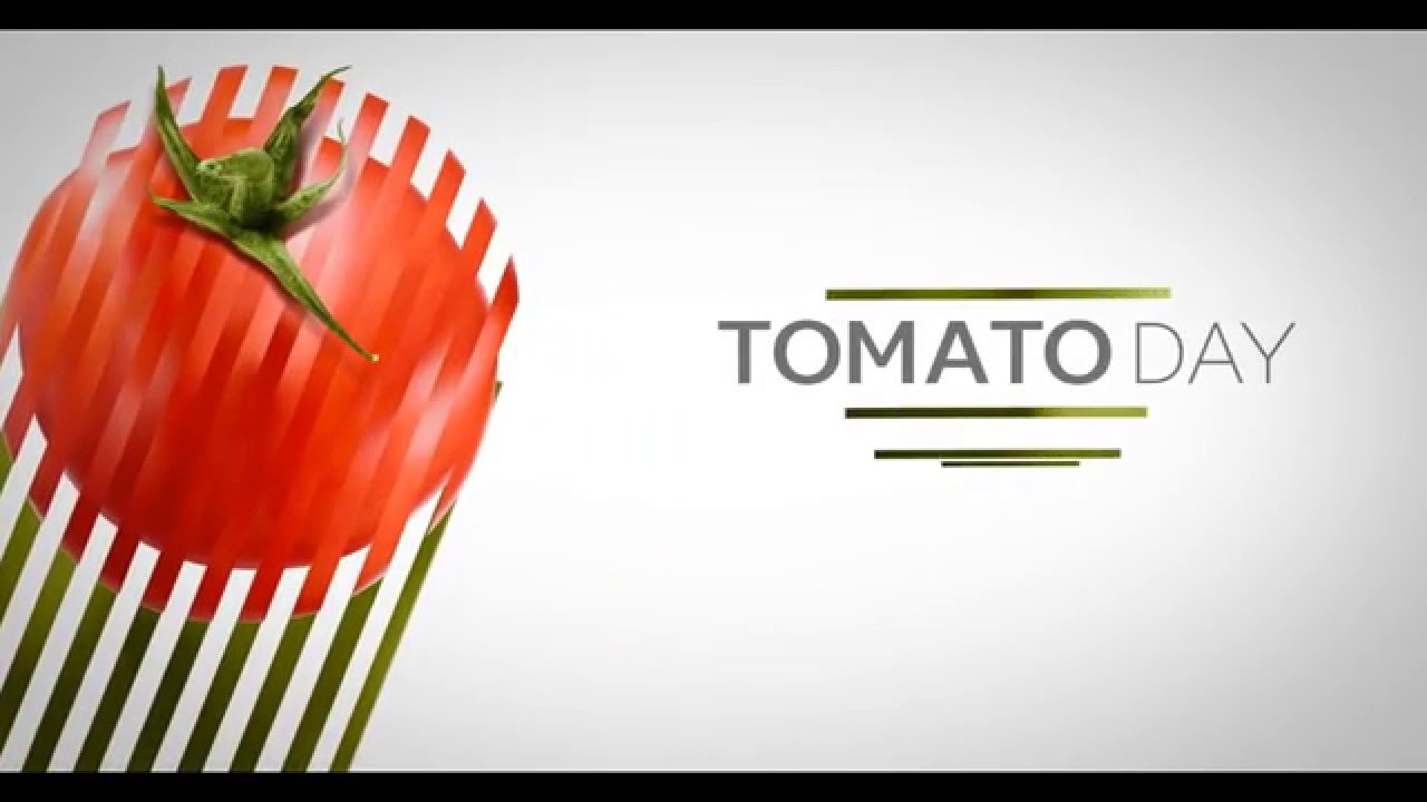 AMOR BENAMOR - TOMATO DAY