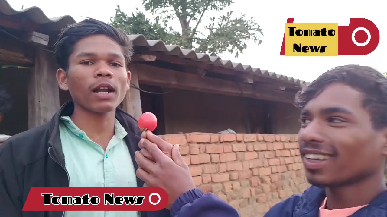 Cg tomato 🍅  punny news 🤣//#cg #punny #viral #minivlog #vlog #lsharisvlog 