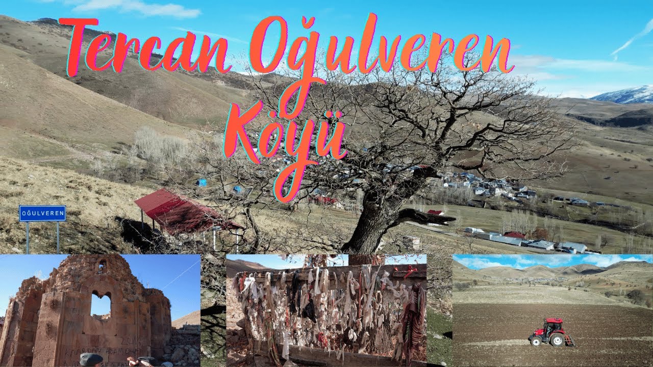 Erzincan Tercan Oğulveren (Gevrenci) Köyü - Gundgerok'un On Dördüncü Köy Programı Sizlerle