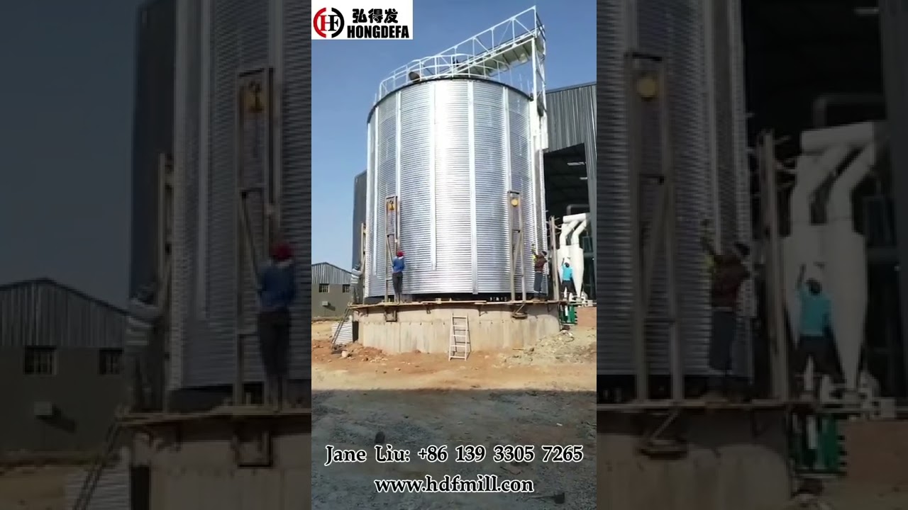 500T grain silo installation #grainsilo #silo #maizesilo