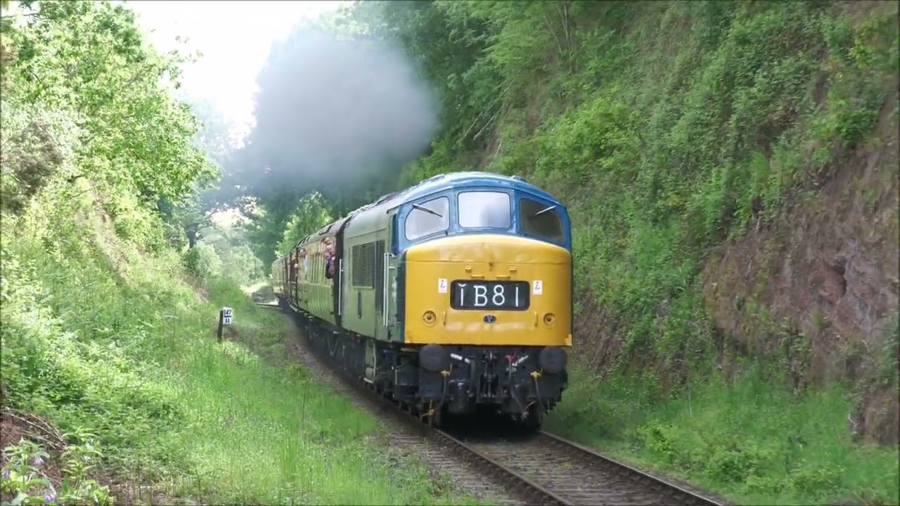 D182 Hay Bridge cutting 19th May 2022