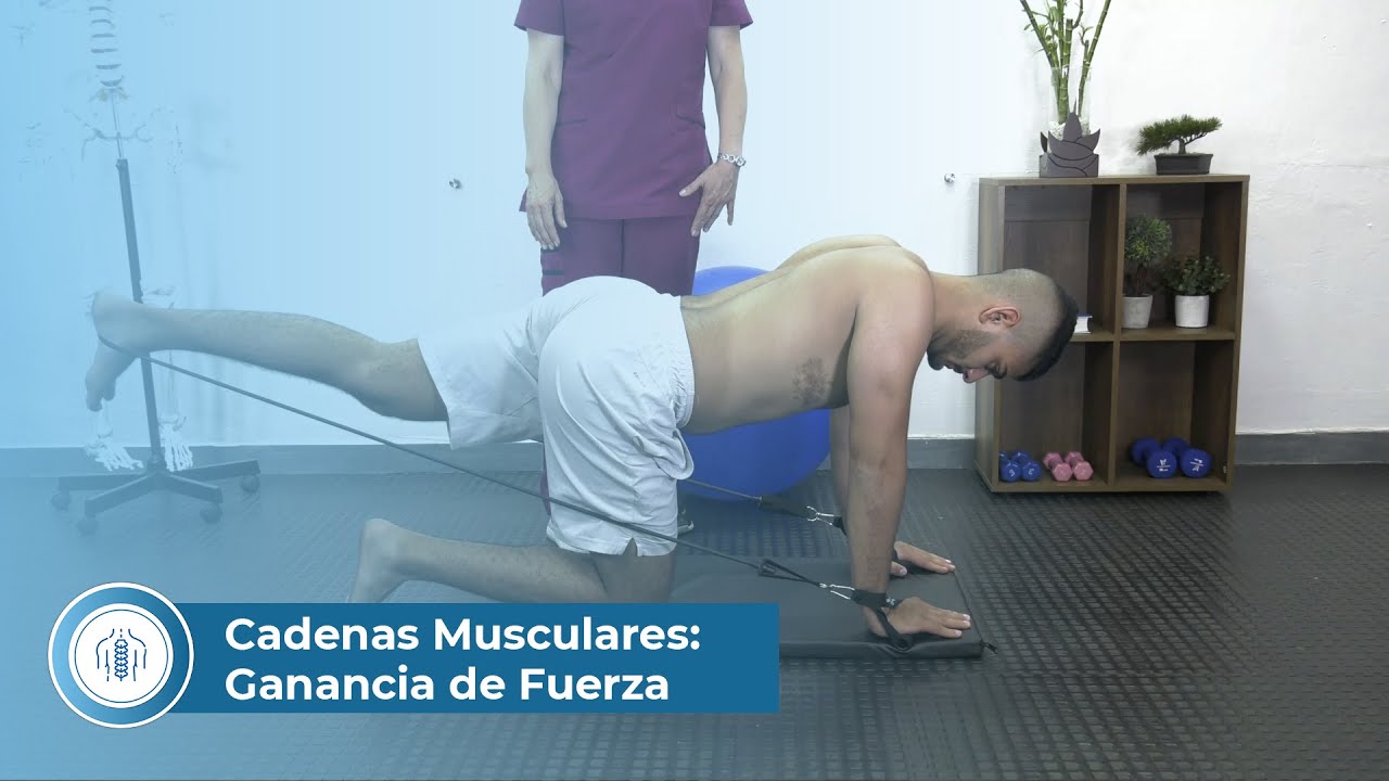 Cadenas Musculares: Estrategias para la ganancia de fuerza muscular