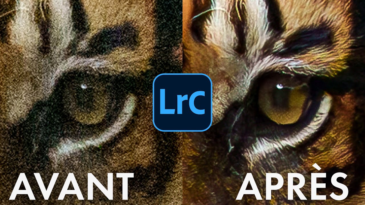 La nouvelle réduction de bruit avec IA est incroyable !!! Lightroom Classic