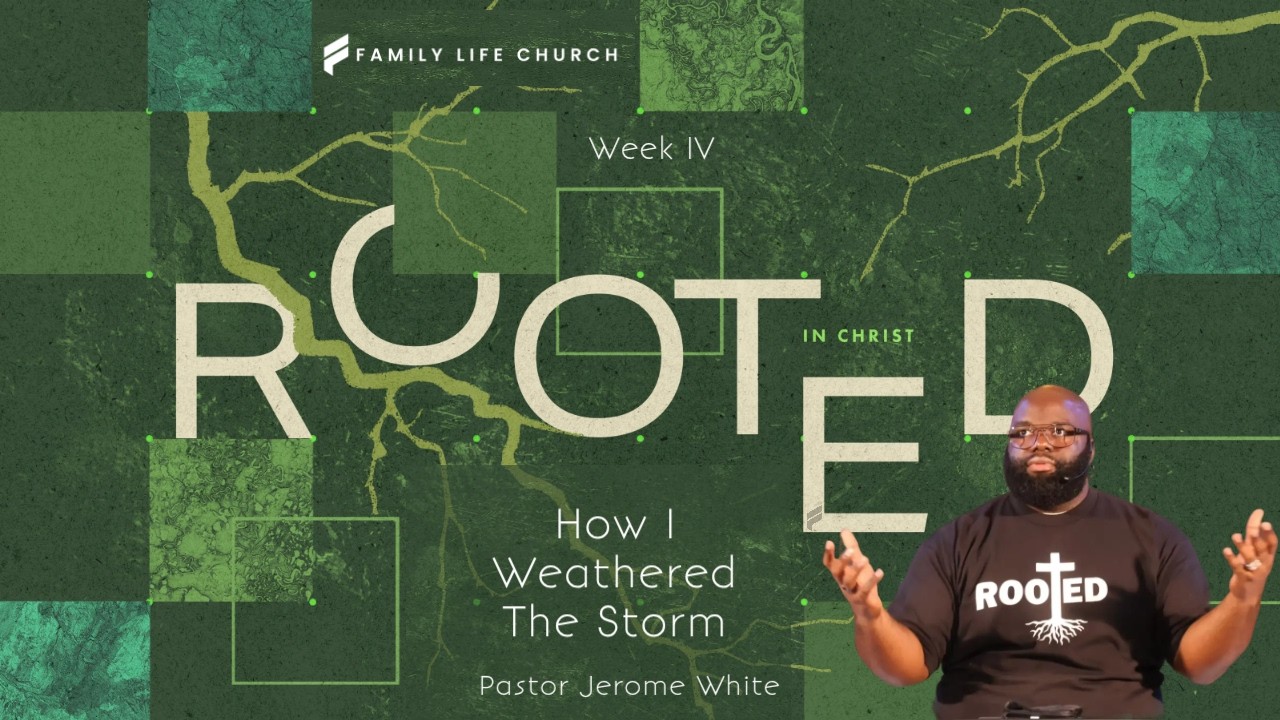 How I Weathered The Storm