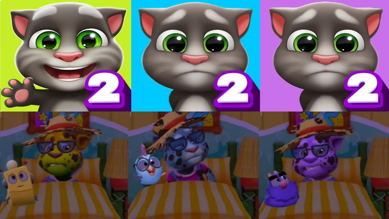 Green Vs Blue Vs Purple My Talking Tom 2 Vs My Talking Tom 2