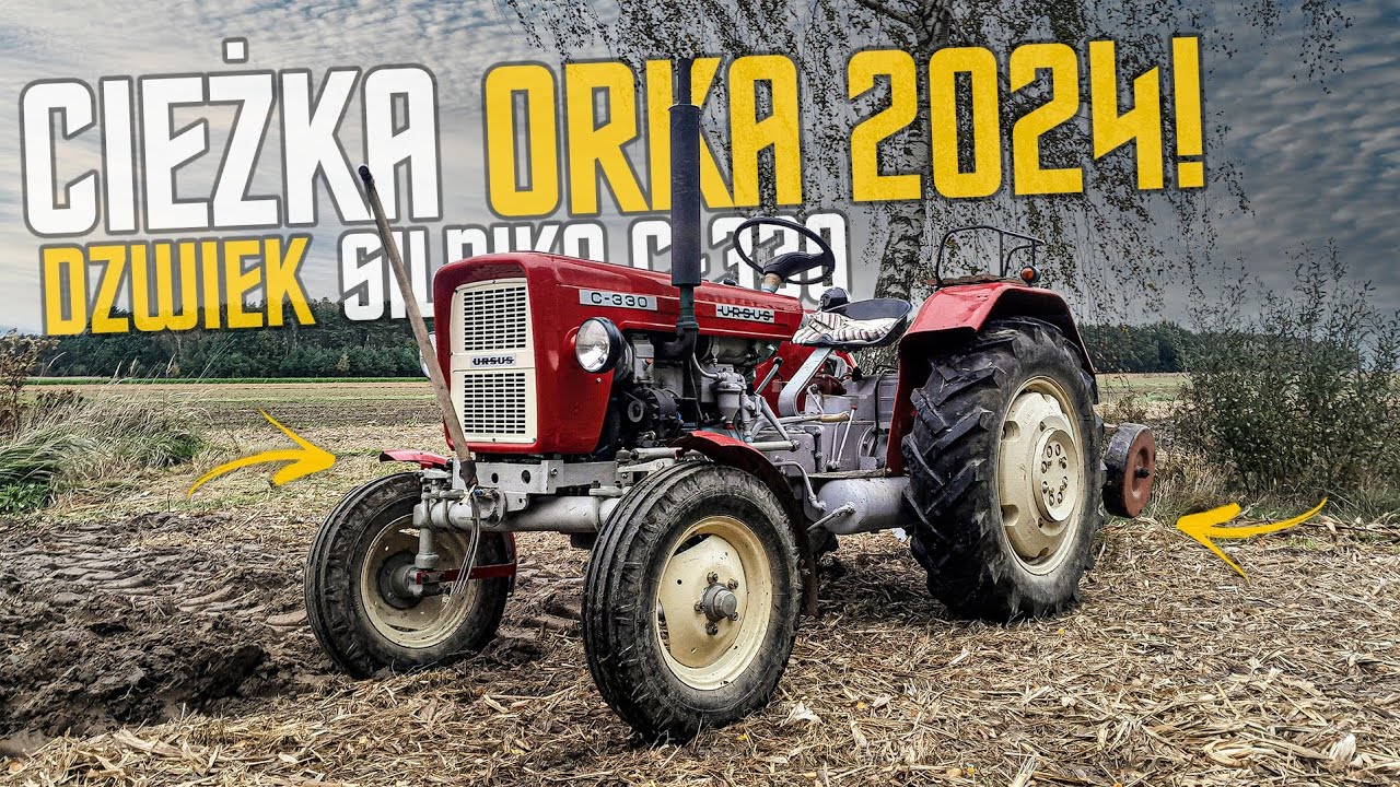 ☆Ursus Na Przepale!?☆Ciężka Orka 2024!☆Ursus C-330 W Akcji!?☆[ENGINE SOUND]☆Gr Chojecki☆