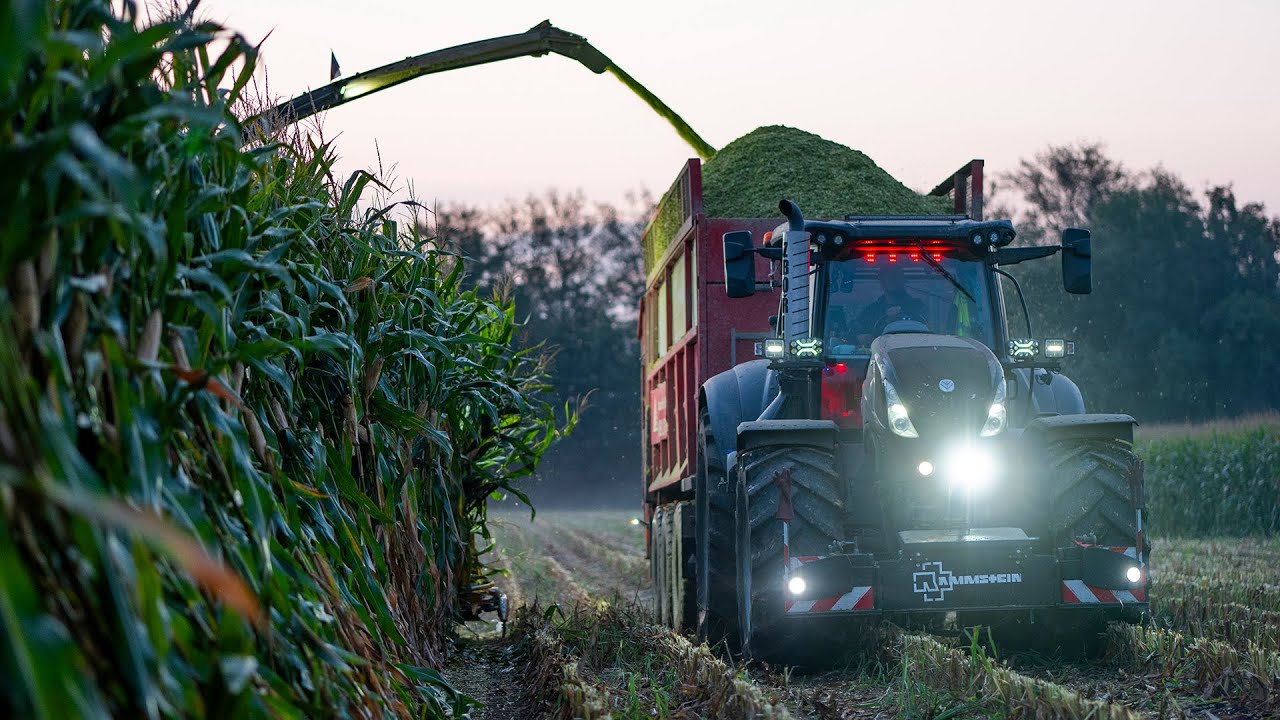 NEW HOLLAND FR920 corn silage BEAST! 🔥 With Case IH & New Holland Tractors