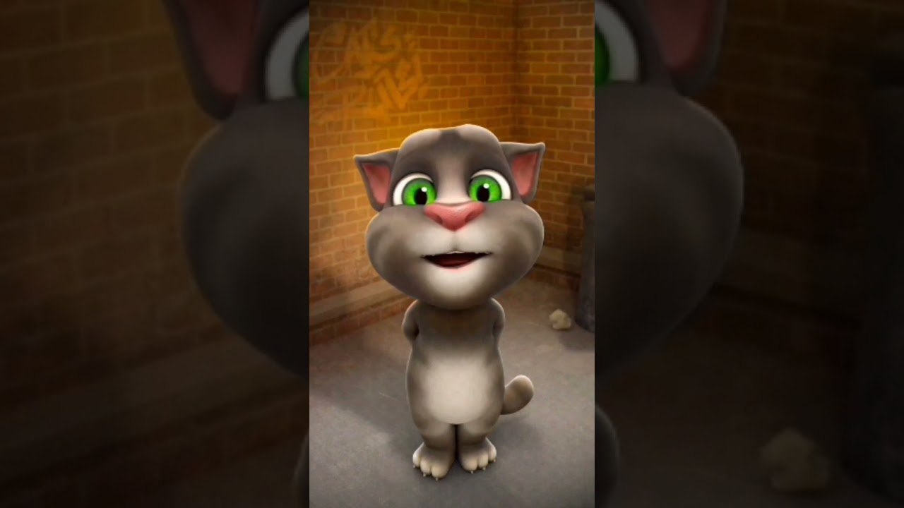#cute #song #664 #video 😂😂❤️✅