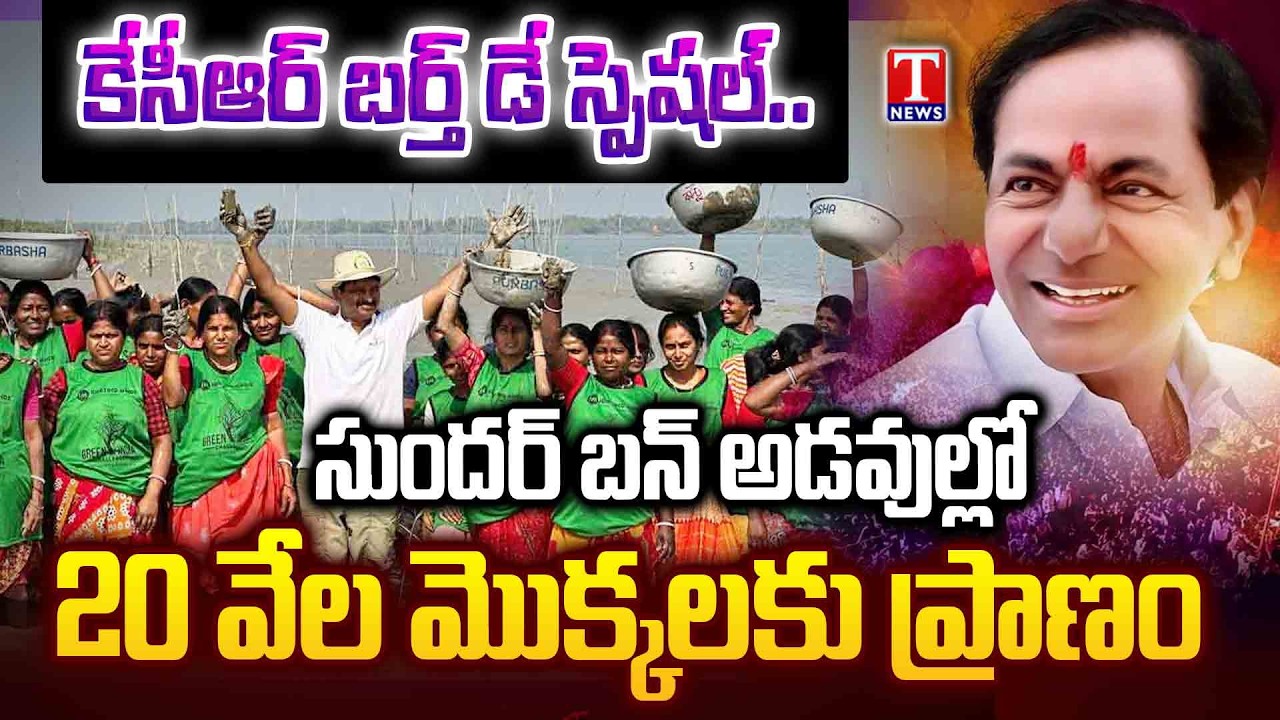 EX-MP Santosh Kumar Team Planted 20000 Mangrove Saplings In Sundarbans On Occassion Of KCR Birthday