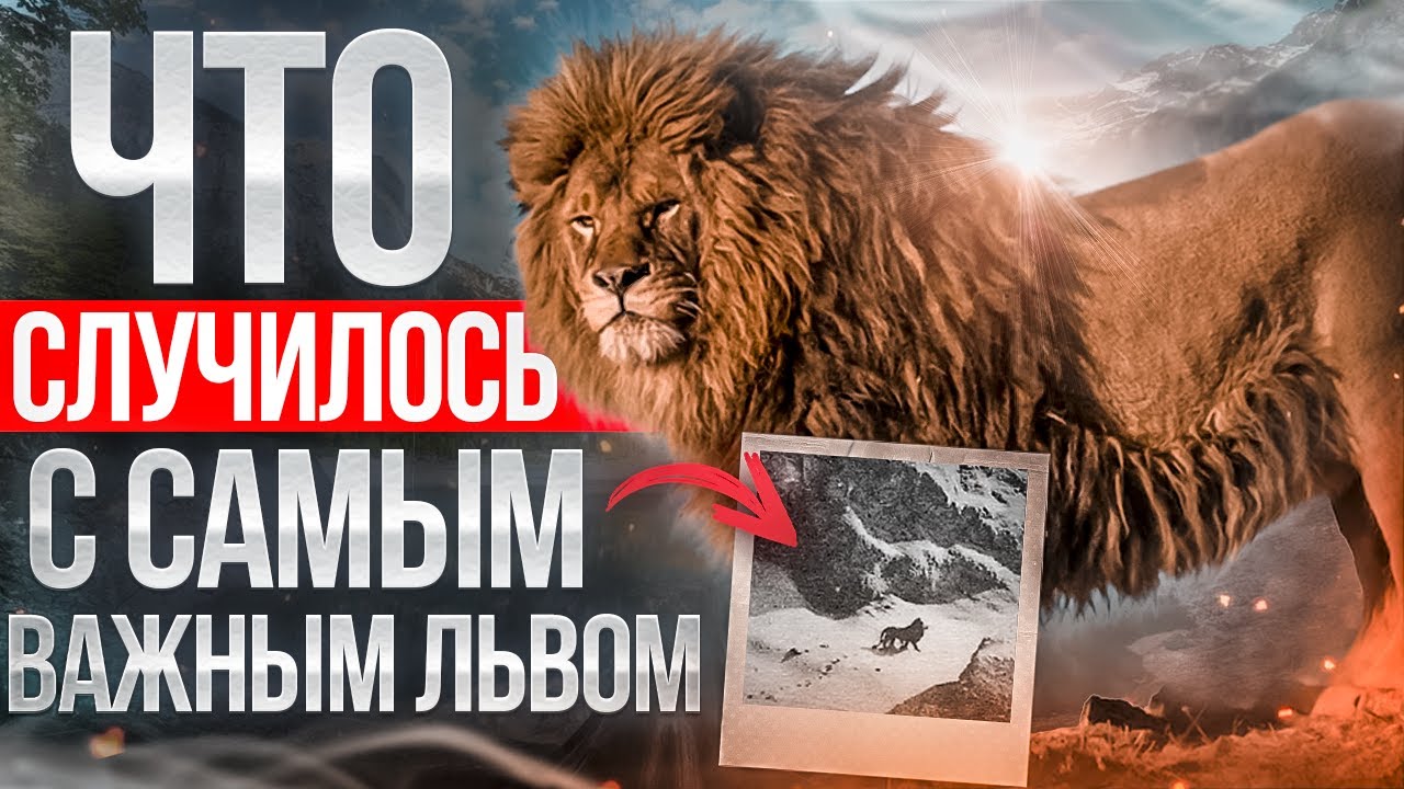 Как исчез последний берберийский лев