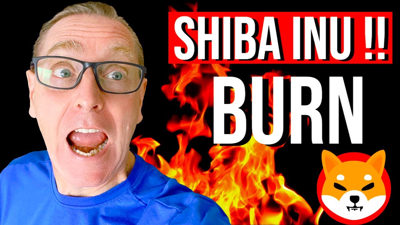 SHIBA INU  TOKEN BURN! SHIBA INU COIN BURN UPDATE! SHIB HOLDERS WATCH THIS!