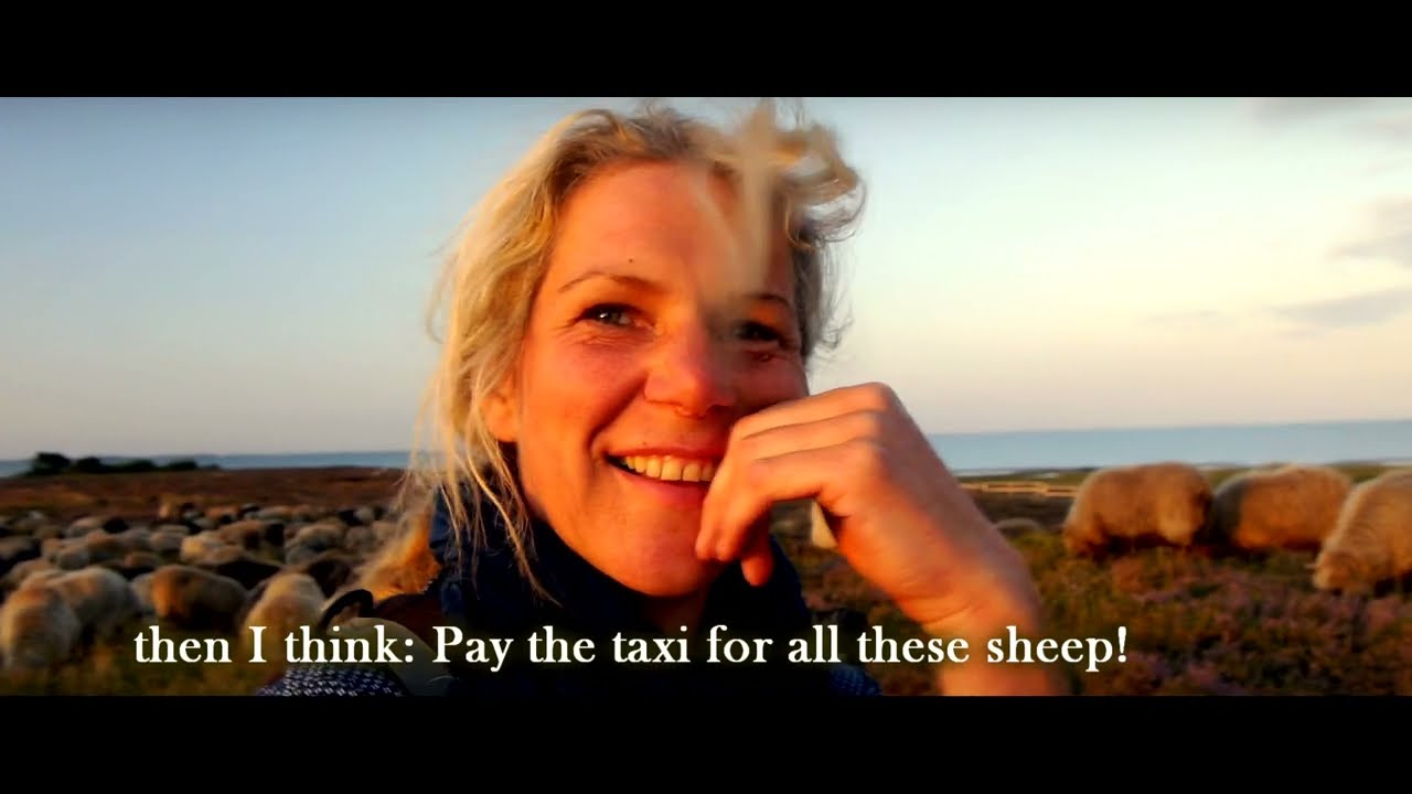 NORDLICHTER SYLT I 2023 I DOCUMENTARY I TRAILER