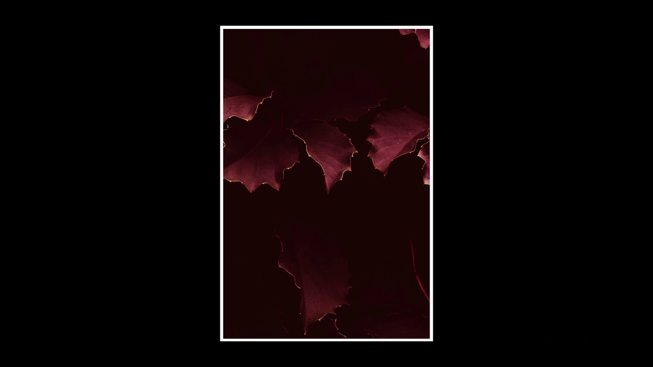 [FREE] Drake Type Beat - 