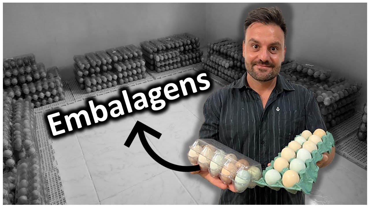 Embalagens para ovos caipiras: quais as melhores opções