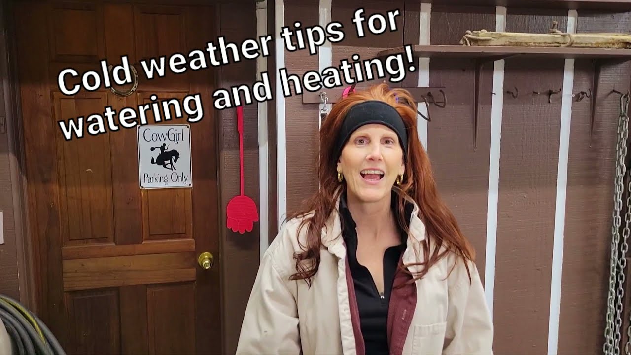 How to keep water from freezing and keep your horses warm.