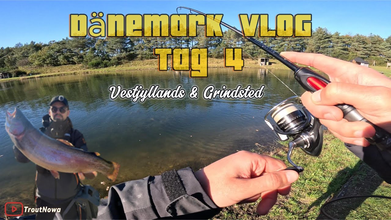 Vestjyllands put&take - Forellenageln in Dänemark 2025 Eskaliert - ULfishing - Spoonfishing - Trout