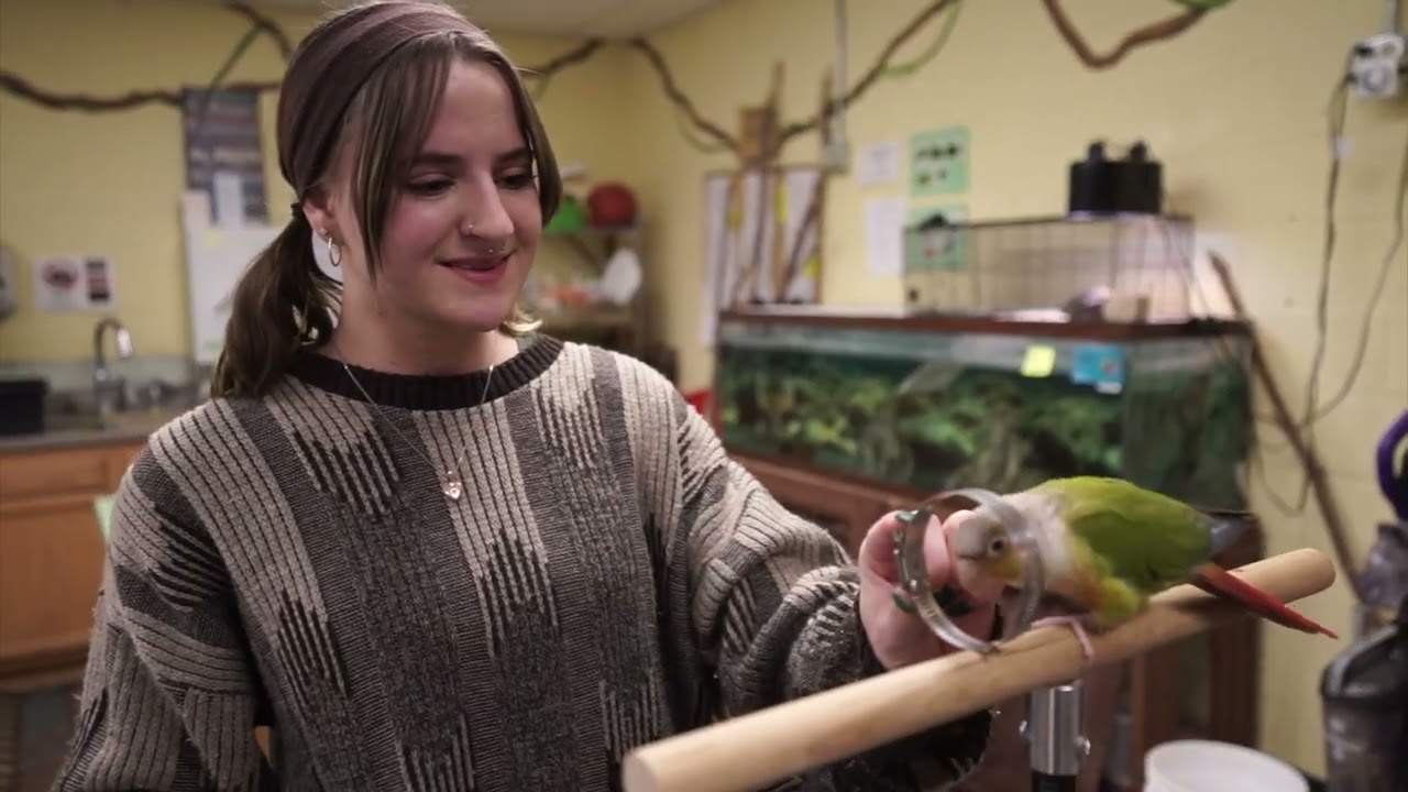 Get Hands-On at the Malone University Zoo