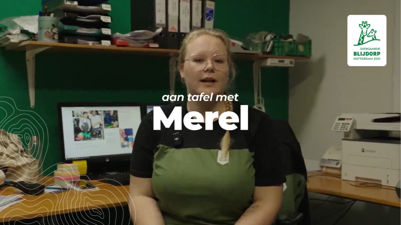 Aan tafel met Merel, aflevering 2
