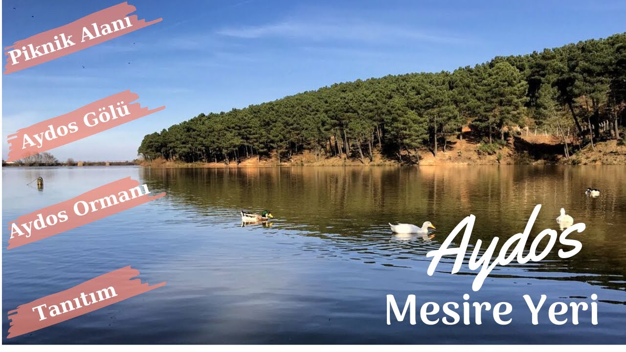 Aydos Ormanı I Aydos Mesire Yeri - Piknik Alanı I Aydos Gölü (İstanbul Piknik Yerleri)