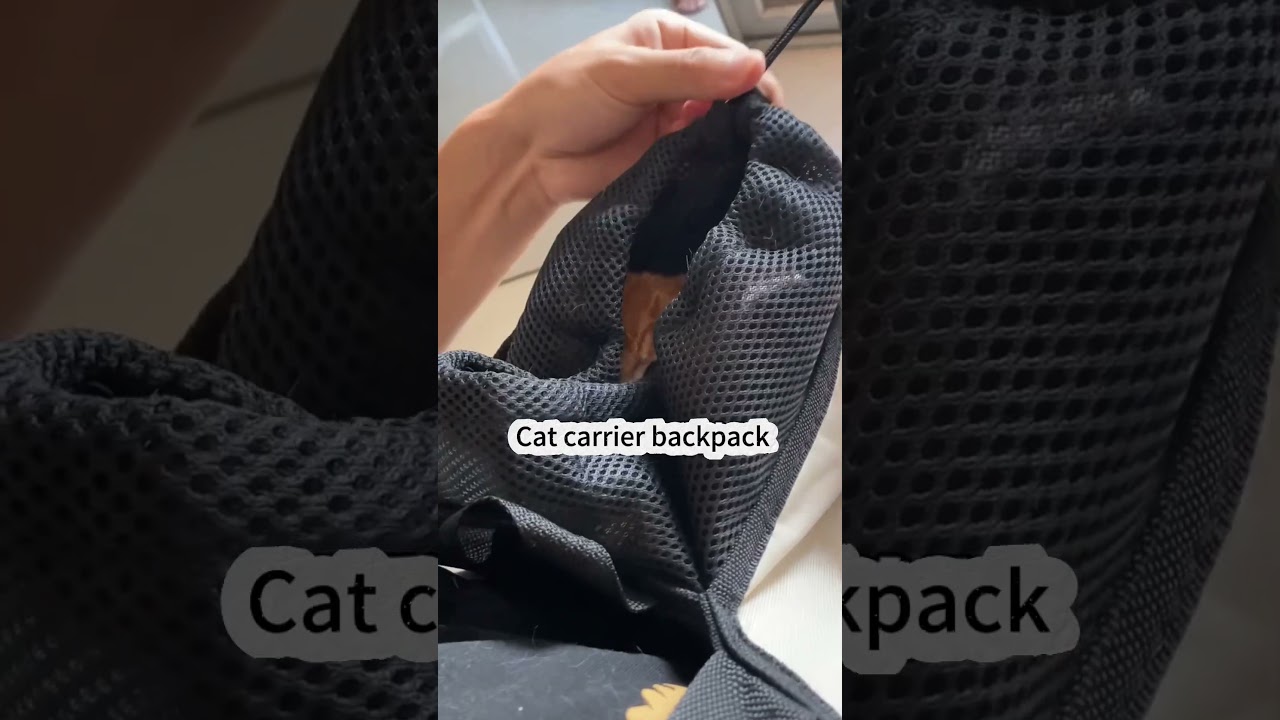 Cat carrier backpack 