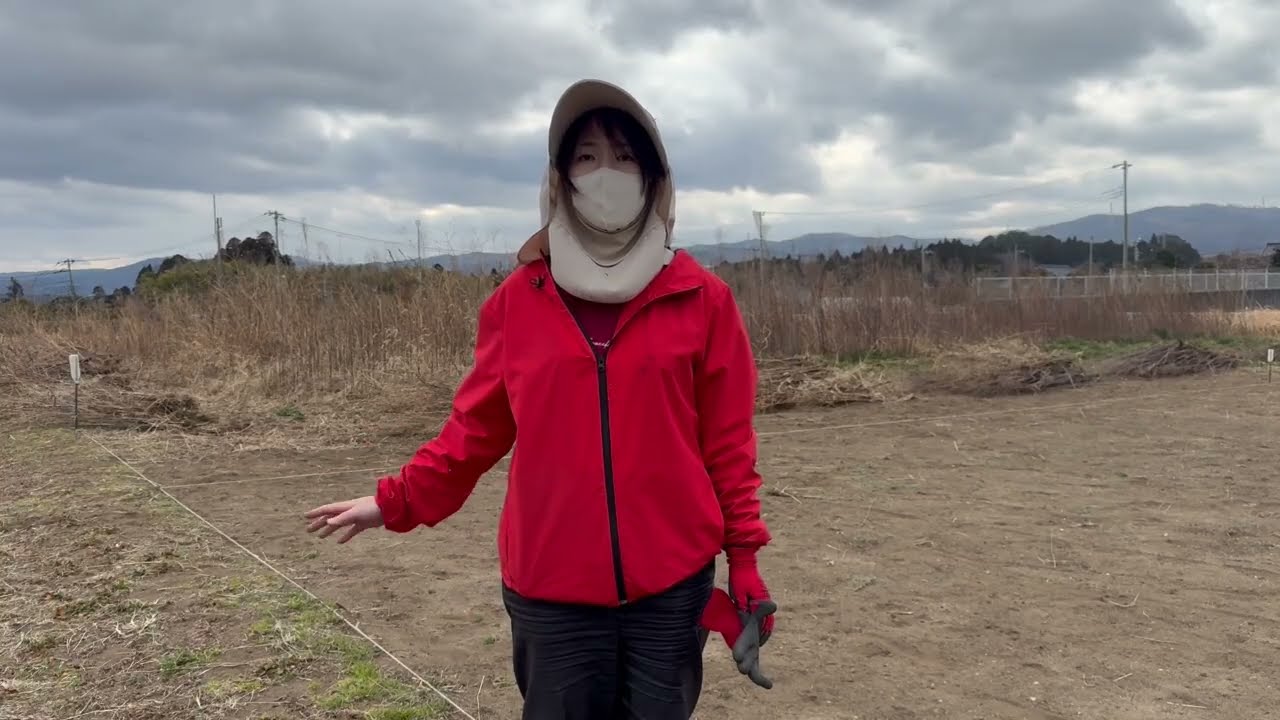 【耕作放棄地の再生】#1 まずは草刈りからだー！
