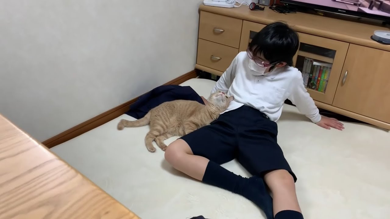 息子の彼女？みたいな猫がかわいい