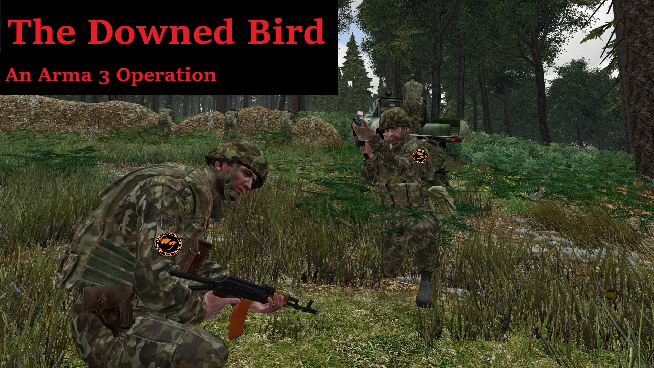 Chronicles of VOID: The Downed Bird