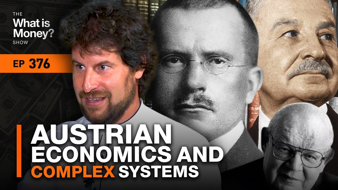 Austrian Economics and Complex Systems with Rahim Taghizadegan (WiM376)