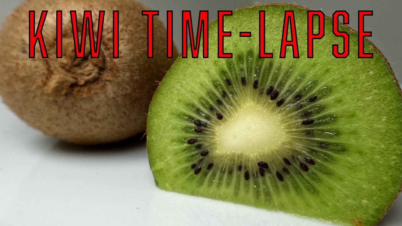 Time-lapse of a Kiwi.