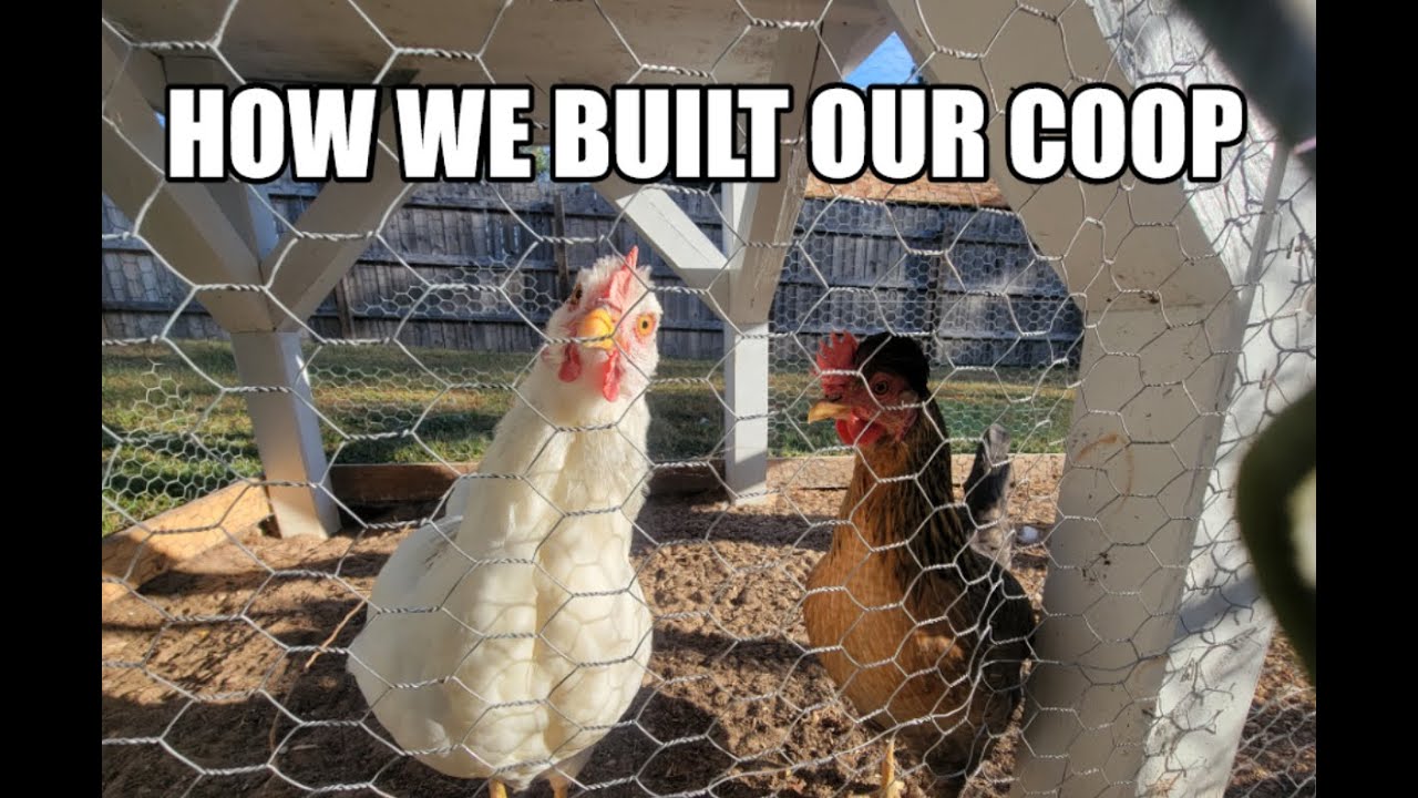 How We Built Our Chicken Coop // DIY // Scrap Materials // Pallet Wood