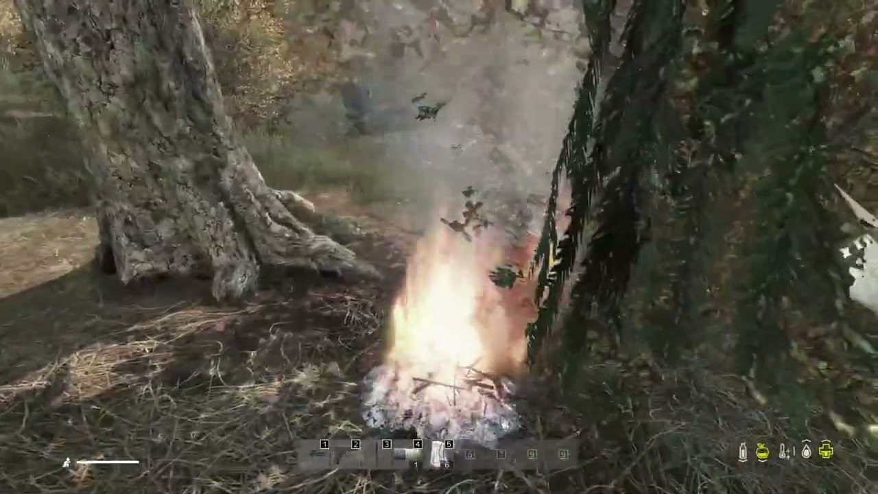 Cooking near snipers in DayZ