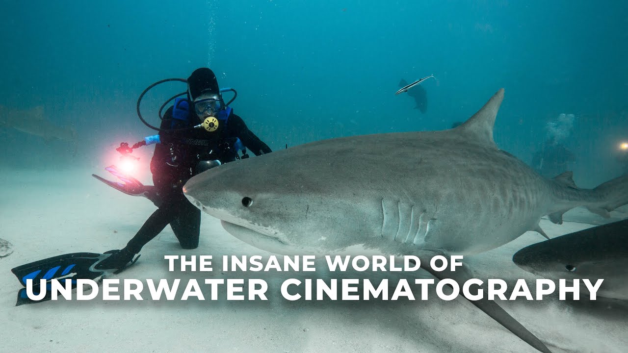 Why I Love Underwater Cinematography