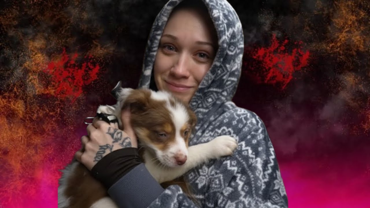 ZAADOPTOWAŁYŚMY PSA ZE SCHRONISKA! 🐶