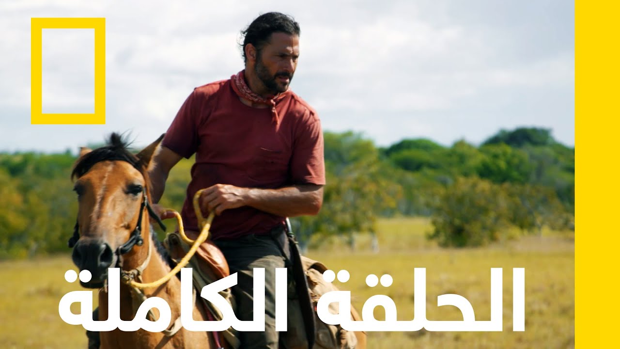 البراري السامة | أساليب البقاء: الهروب من الأمازون | ناشونال جيوغرافيك أبوظبي