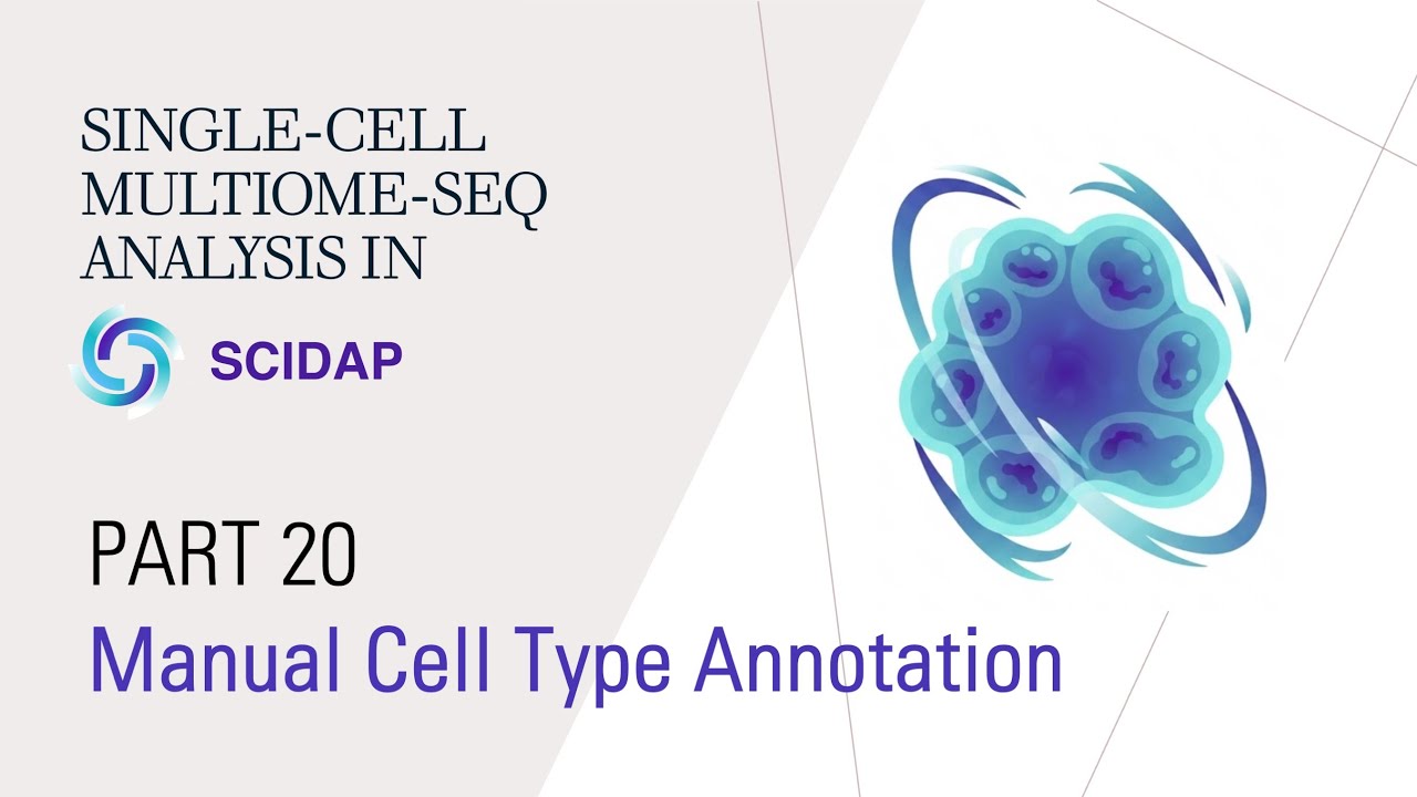 Single-cell Multiome (RNA+ATAC) Analysis 20: Cell Type Assignment