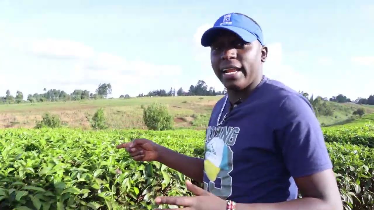 LIMURU HISTORY FUNNY VLOG