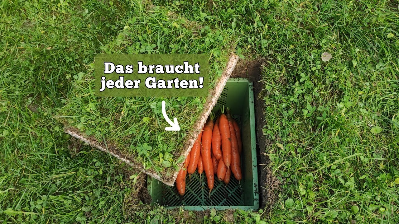 Gemüse kostenlos & für viele Monate lagern ohne Vorratskammer! [Erdkeller selber bauen]