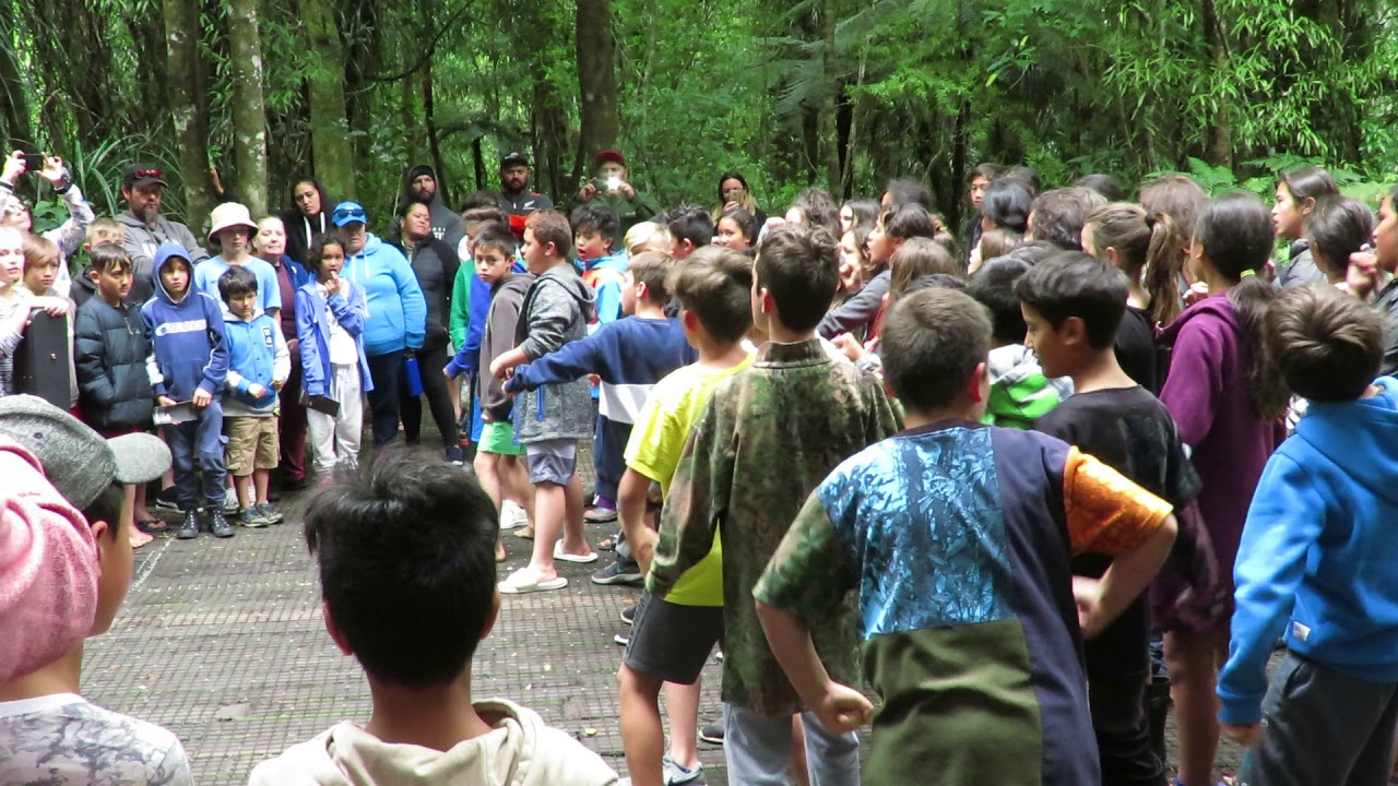 Maori-Performance am Tāne Mahuta (Waipoua Forest)