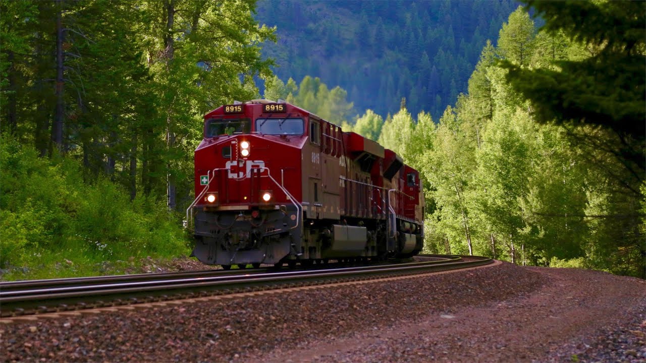 BNSF/CP Sweet Grass Grain trains in Montana