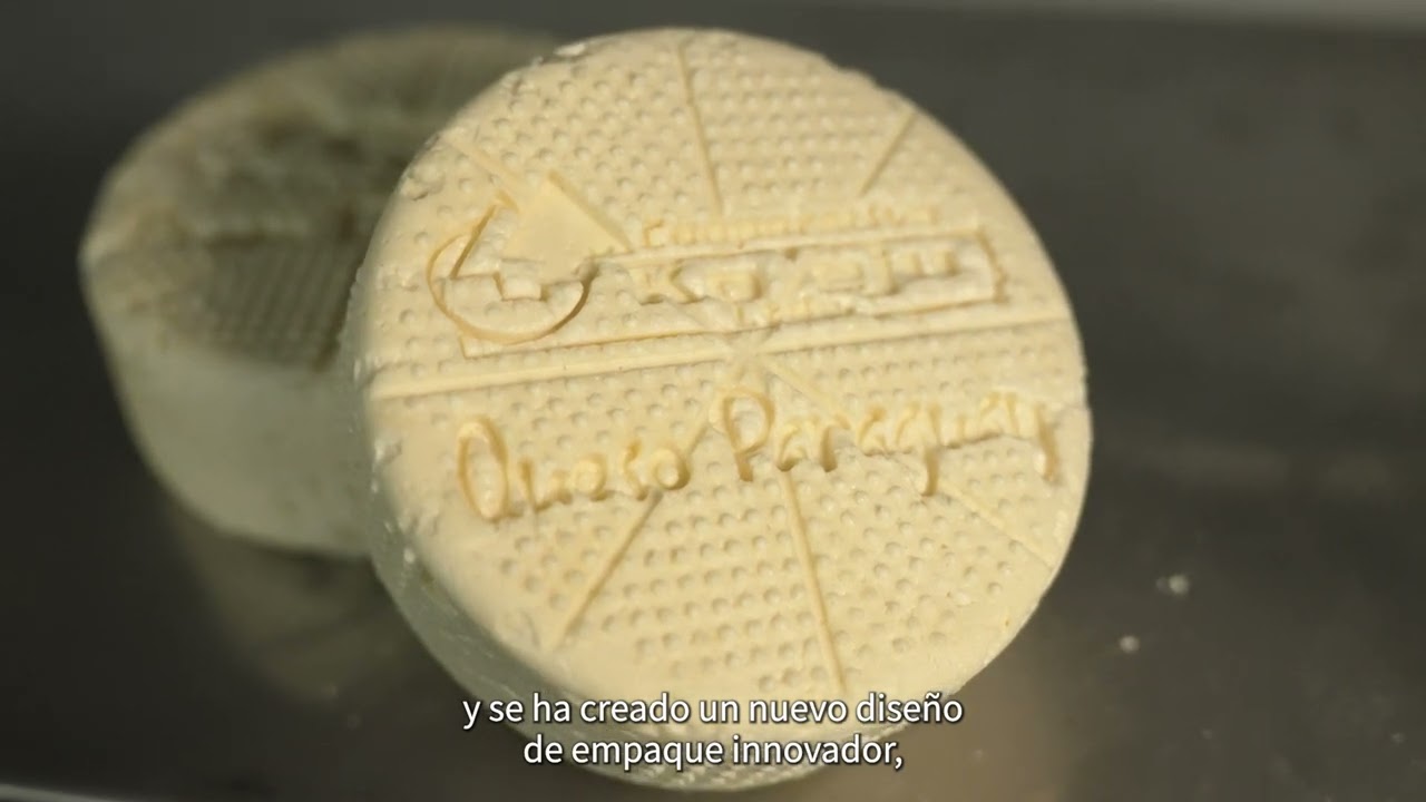 Proyecto: 
