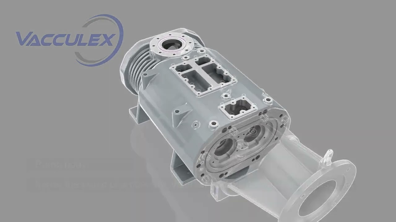Vacculex​ Dry Screw Vacuum Pump