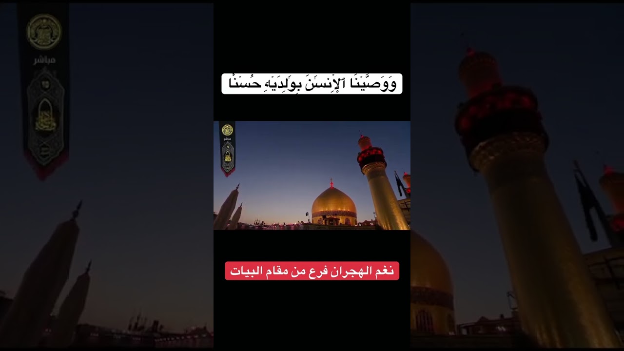 نغم الهجران فرع من مقام البيات || السيد هاني الموسوي