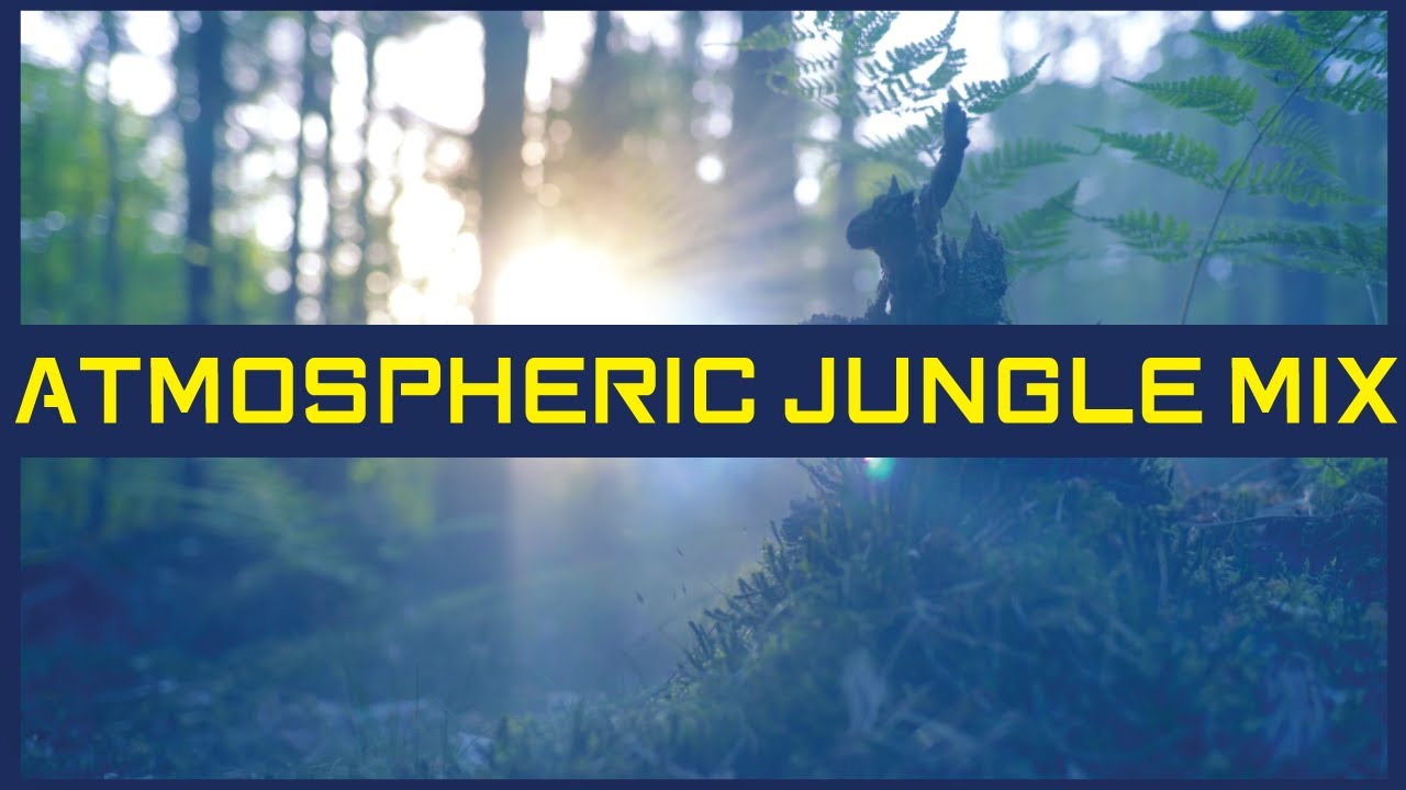 Atmospheric Jungle DJ mix 026 | Mystic Morning DNB journey
