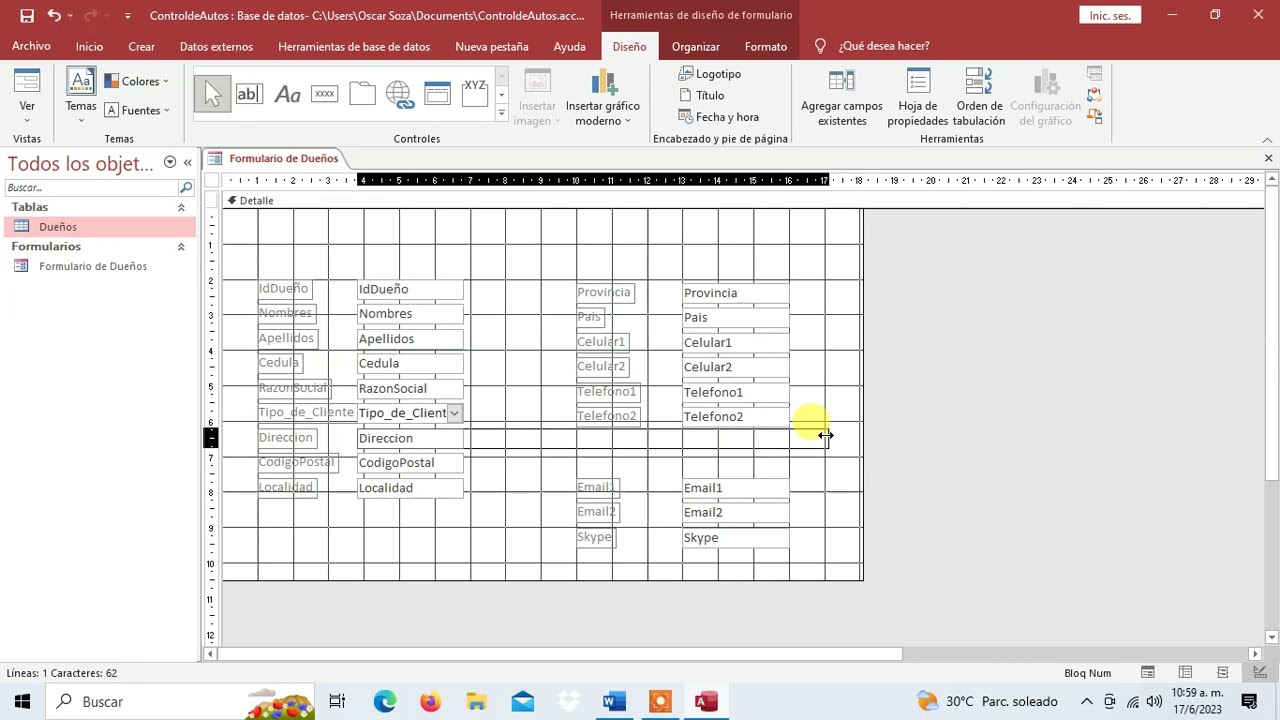 Como Crear un Sistema de Control de Vehiculos en Access Video 01