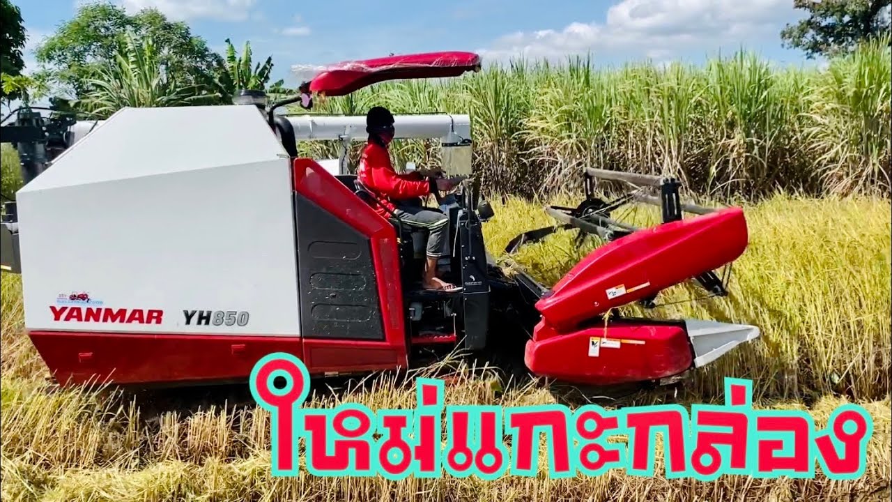 🔰🔰🔰มาดูรถเกี่ยวข้าว YANMAR YH850 🎉ใหม่แกะกล่องลุยงานนี้งานแรก🌾🌾🌾